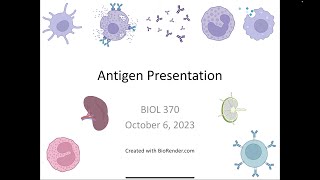 Immunology Fall 2023 Lecture 15 Antigen Presentation [upl. by Oterol]