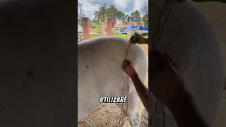 Esta vez DIBUJAREMOS en CABALLOS 🐎💈✍️ [upl. by Zashin]