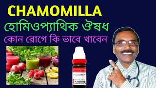 CHAMOMILLA homeopathic medicine কি রোগের জন্যে খাবেন  কারন লক্ষন ও চিকিৎসা  dr sp goswami [upl. by Neraj438]