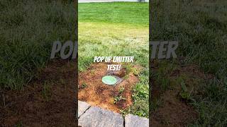 Real World Buried Downspout with Pop up Emitter Test [upl. by Vitek]