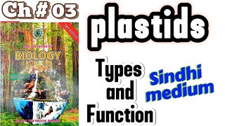 Plastids 11th biology [upl. by Johnathon]