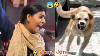 nooran sister  dama dam mast kalandar  comedy video [upl. by Nylrehs]