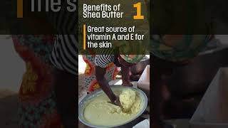 Differences Between Shea And Cocoa Butter sheabutter cocoabutter ghana [upl. by Elurd]