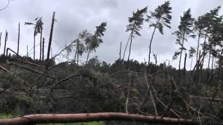 Stormschade bos Zutendaal [upl. by Aicillyhp865]