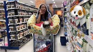 COMPRINHAS PARA O MEU CACHORRO [upl. by Idnal]