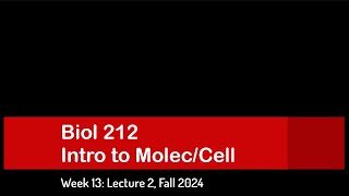 CSULB Biol 212 Fall 2024  Week 13 Lecture 2 [upl. by Geer]