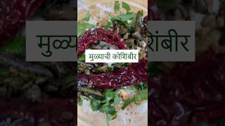 चवदार मुळयाची कोशिंबीर koshimbir healthyfood cooking food salad trending shorts [upl. by Petes719]