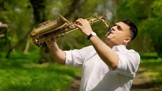 Boby Dragomir 🎷 Instrumentala 👑 Regala👑 4k [upl. by Annoya]