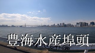 Toyomi pier Tokyo [upl. by Itsyrc]