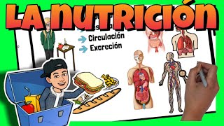 🥘 La NUTRICION para NIÑOS [upl. by Claman]