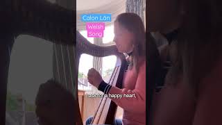 Calon Lân welsh wales calon pureheart folksong celticmusic harp [upl. by Aynod]