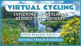 Fietsroute door het Nationaal Park De Biesbosch  Virtueel Fietsen [upl. by Atiekahs62]