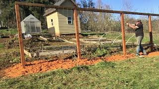 Marionberry Pruning and Trellising [upl. by Lenroc]