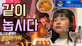 VLOG 에버랜드 알바생의 지극히 평범한 휴무 일상  고양이 피씨방 [upl. by Bradly]