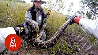 Why Military Veterans Are Hunting Pythons in the Everglades [upl. by Jillayne411]