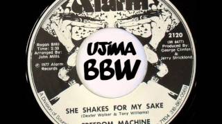 FREEDOM MACHINE She Shakes For My Sake ALARM RECORDS 1977 [upl. by Hakeber853]