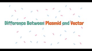 Difference Between Plasmid and Vector [upl. by Aicelav790]