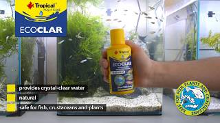 Get crystal clear water in your tank with Tropical Ecoclar [upl. by Hamian]