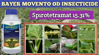 BAYER MOVENTO OD INSECTICIDE  movento od  spirotetramat 1531od [upl. by Shlomo939]