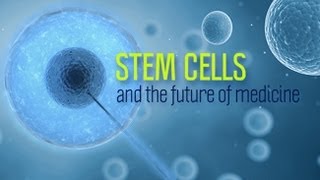 Stem Cells and the Future of Medicine  Research on Aging [upl. by Yllac549]