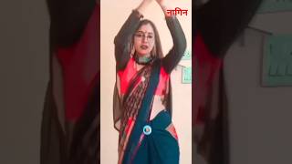 Nagin Gin Gin shortsdance trending viral youtubeshorts marwadisantosh [upl. by Kelsi390]