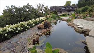 Beautiful koi pond of Eden Prairie mn SD 480p [upl. by Eislehc]