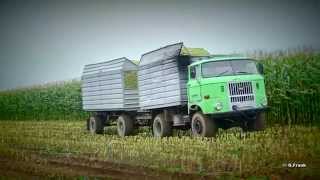 Kirovetz K700 Part 1 IFA W 50 Silage abfahren [upl. by Dorette502]