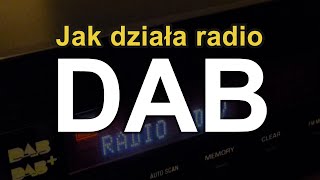 Jak działa radio DAB RS Elektronika 67 [upl. by Mylo]