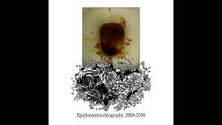 Epiploenterocele Pusliquid Wormchunk – Epiploenteroceleography 20082010 GORENOISE [upl. by Ylevol]