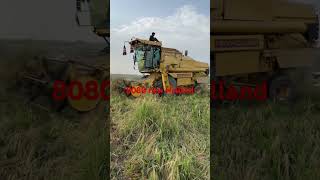 8080claysonnew Holland rice harvesting punjab pakistan [upl. by Ahsim]