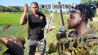 Wild Hunting Hit Bird Flying Hunting Saliepenter Beze Hunting [upl. by Vanhook]