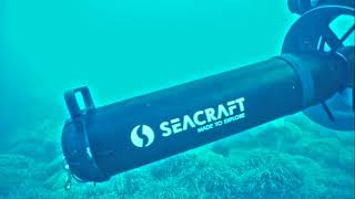 Seacraft scooter reverse gear operation [upl. by Ocicnarf]