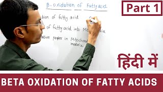 Beta Oxidation of Fatty acids in Hindi  Part 1 [upl. by Fiden800]