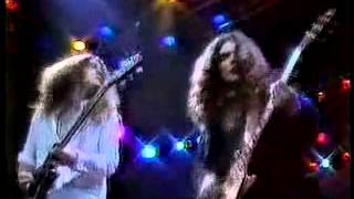 Lynyrd Skynyrd  Free Bird 1979  Lynyrd Skynyrd its back [upl. by Kassaraba]