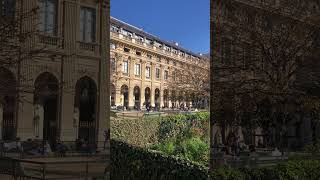 Beautiful FLOWERS in the JARDIN du PALAIS ROYAL [upl. by Mitinger847]