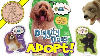 Diggity Dogs Card Game  Butch amp I Adopt Dogs To Win [upl. by Marybella]