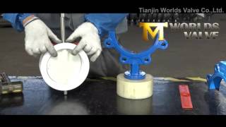 PTFE Coated Lug Butterfly Valve Assembly Process [upl. by La]