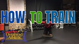 Best Exercises for Scapular Dyskinesis Mid Trap Exercises amp Low Trap Exercises Beginner amp Advanced [upl. by Bruell850]