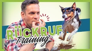 Rückruftraining  Deinem Hund oder Welpen KOMM beibringen [upl. by Merry]