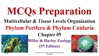 MCQs Phylum Cnidaria Phylum Porifera Sponges Parazoa Porifera Sponges FPSC SPSC KPSC PPSC [upl. by Notsuh847]