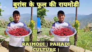 ये है असली उत्तराखंड कल्चर  बुरांस की फेमस रायमोड़ी  Flower Food  Pahadi Local Food [upl. by Omar]