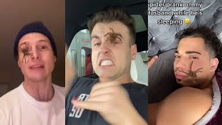 Spider Filter Prank Tiktok Compilation [upl. by Samot652]