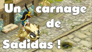 Dofus  PvP 1vs1 Eliotrope 200 12  Carnage de Sadidas [upl. by Charles]