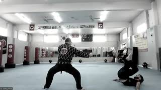 Recent Training Session Highlgiht  Danbongsul short stick self defence [upl. by Riddle425]