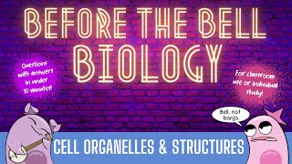 Cell Organelles amp Structures Before the Bell Biology [upl. by Luo]