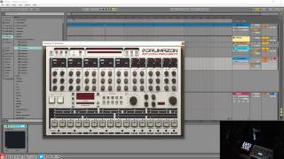 How To Get Ableton Drum Racks To Work With D16 Plugins [upl. by Sower]