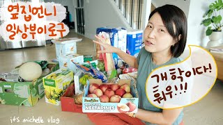 체다치즈 스콘 얼그레이 라떼 feat 뉴 주방기기 꽈리고추 찜 무침 만들기ㅣ새학기 맞이 코스트코 넘의 집 장바구니ㅣ식재료 소분하기 [upl. by Eugenius59]