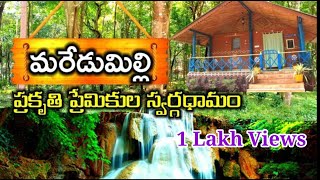 Maredumilli Tour  maredumilli tour plan  maredumilli tour in telugu [upl. by Noremak]