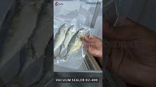 Vacuum Sealer Packaging Machine DZ 400 l Vacuum Sealing l Meat Fish Food Packing [upl. by Yessydo]