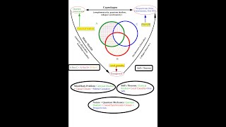 QM24 von Neumann processes and Heisenberg algebra [upl. by Senalda]